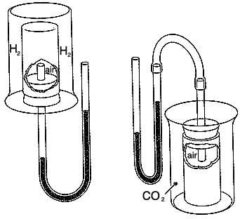 apparatus set-up for gas diffusion through a porous pot